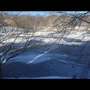 Meet your Posher, Suzannah